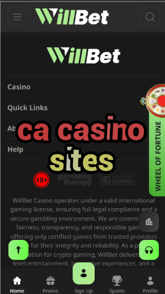 CA Casino Sites - Legal Online Casinos in Canada-casinoorder.vip